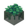 Dungeons Water Plant