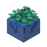 Dungeons Water Plant