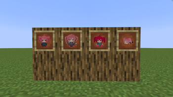 items in item frame
