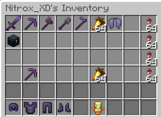 Invsee