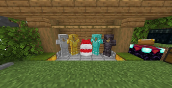 Elytra and armor