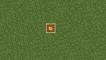 In item Frame