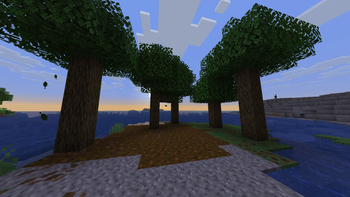 Taller Trees