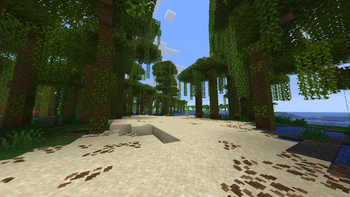 A Cozy Jungle Beach