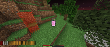Different anti cheat Screenshot 1