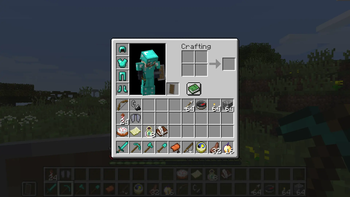 Inventory item placement