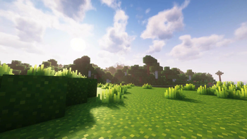 Plains