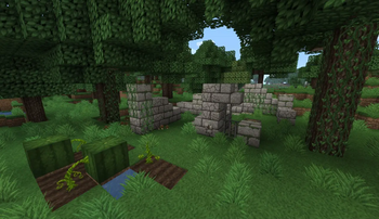 OG Ruins