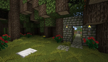 OG Grove