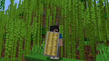 Bamboo