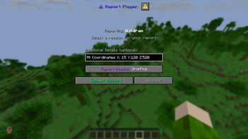 Report Dialog