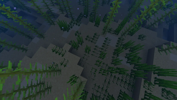 Salt blocks.