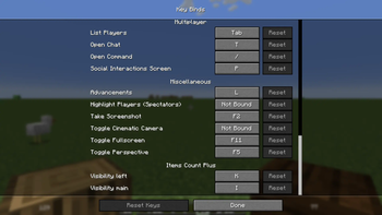 Setting hotkeys in Items Count Plus ( ICP )