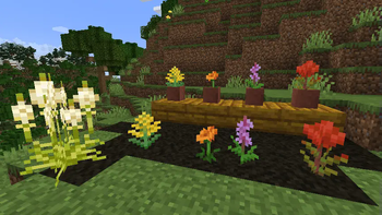 Plants