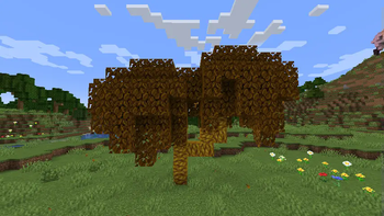 Golden Shining Oak Tree