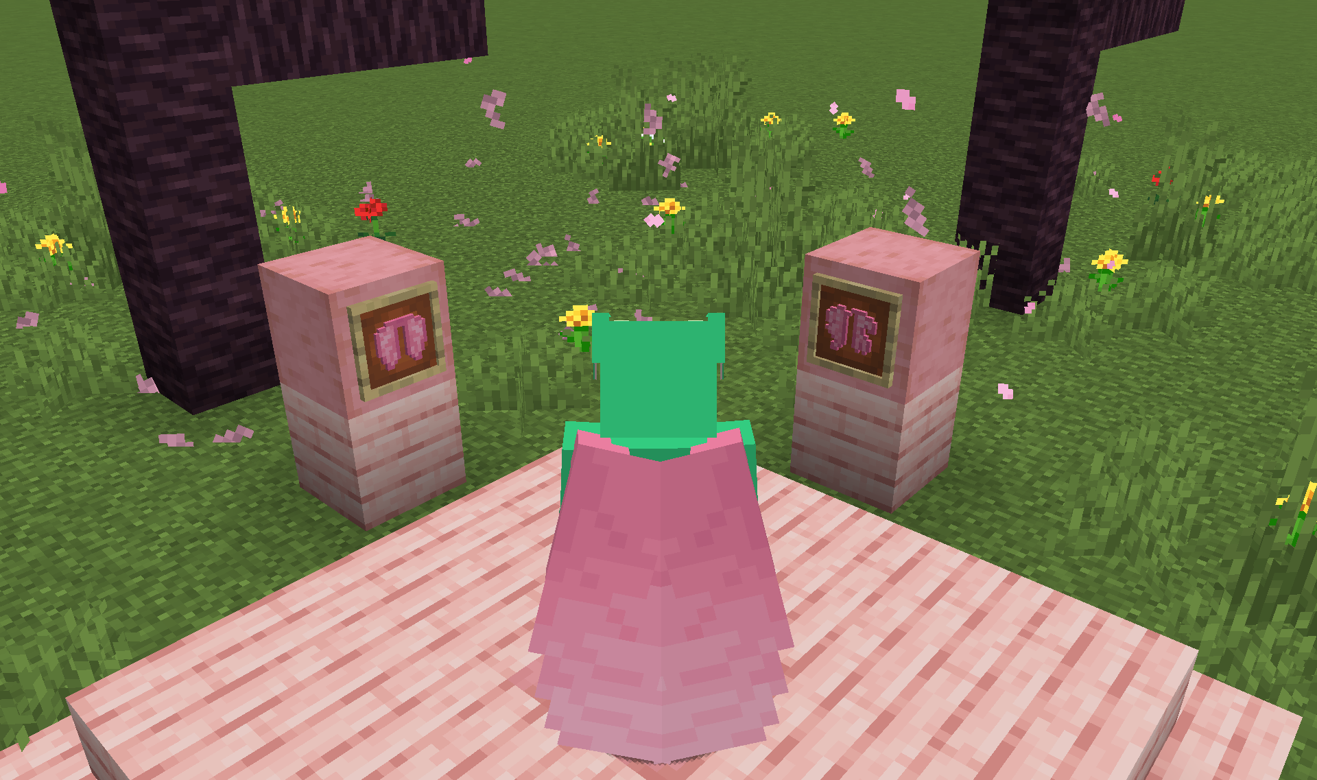 Screenshot demonstrating Resource Pack