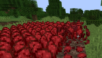Nether Wart Quick Replant