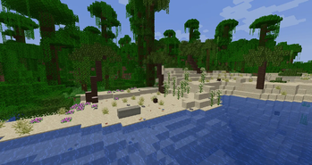 Enhanced Beach Biome