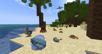 Beach Creatures