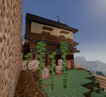 Japanese Mountain House