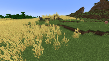 (2.0.0) Biome's edge