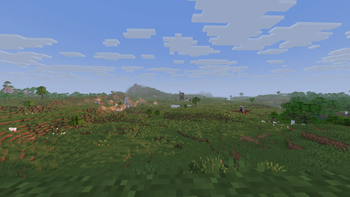Landscape