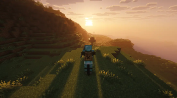 the shader