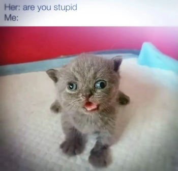 are you stupid?