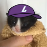 leukwings
