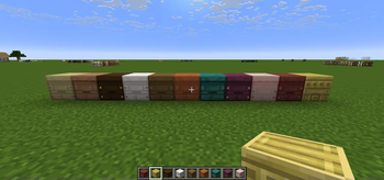 beehives