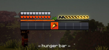 hunger bar