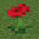 Spatial Cross Models