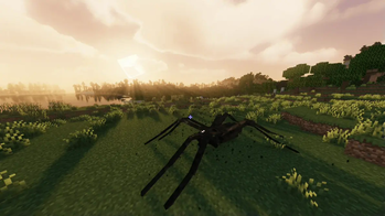 Tarantula