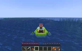 Player sitting in a dyed planks boat