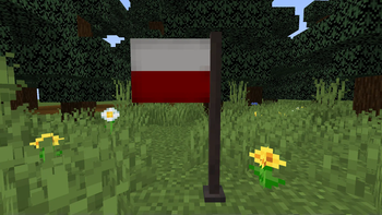 Polish Flag