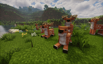 Deer