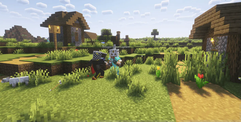 Villager scout caption vs Npc player