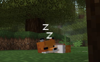 Fox sleeping