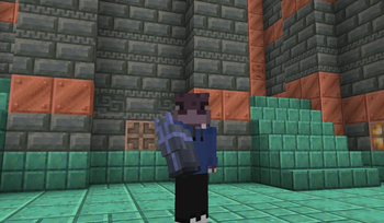 Third person view