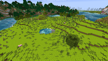 plains