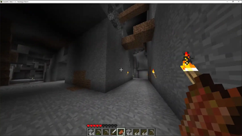 player holding rotten flesh