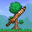 Terrarian Swords