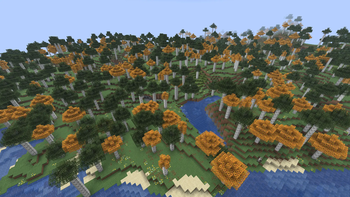 Birch Forest Overview
