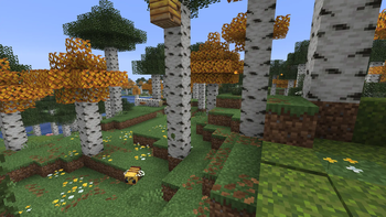 Beehive