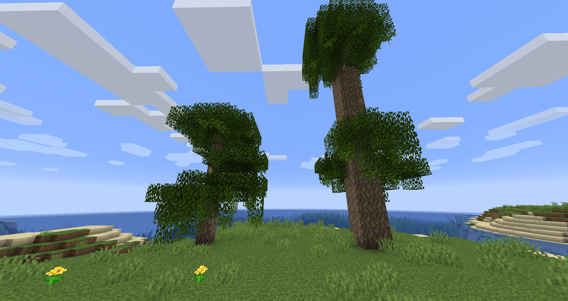 Cypress trees