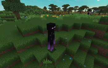 Enderman