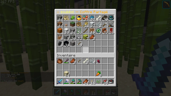 faction shared chest