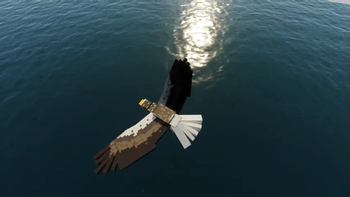 Steller's sea eagle