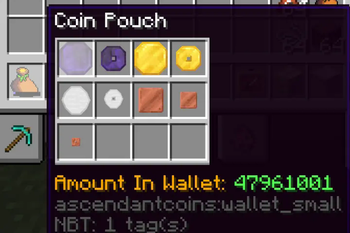 Coin Pouch Tooltip