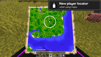 Backported player locator on maps
